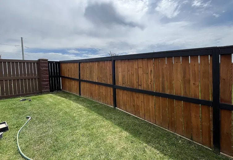 Before backyard fence staining in Calgary showing natural wood pickets with a dark black frame outline.