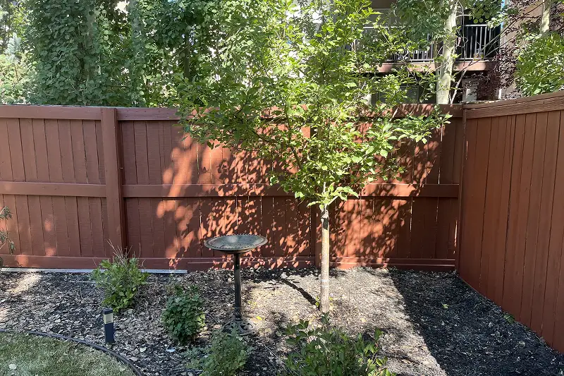 Residential deck and fence staining in Aspen Woods, Calgary, improving curb appeal and extending the life of exterior wood